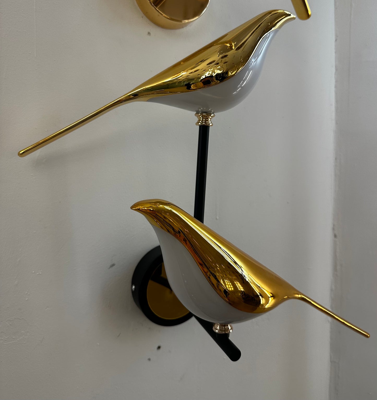 Bird Scape Dual