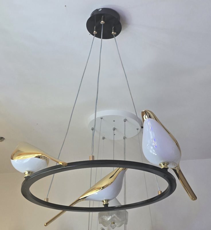 Bird Flare