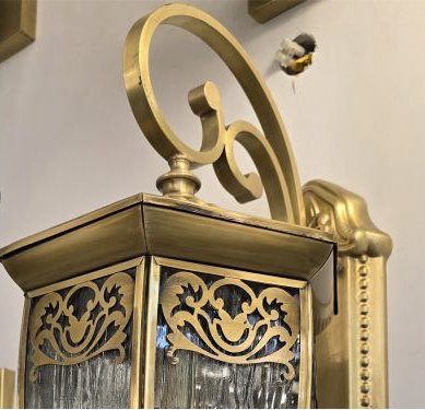 Lotus Brass
