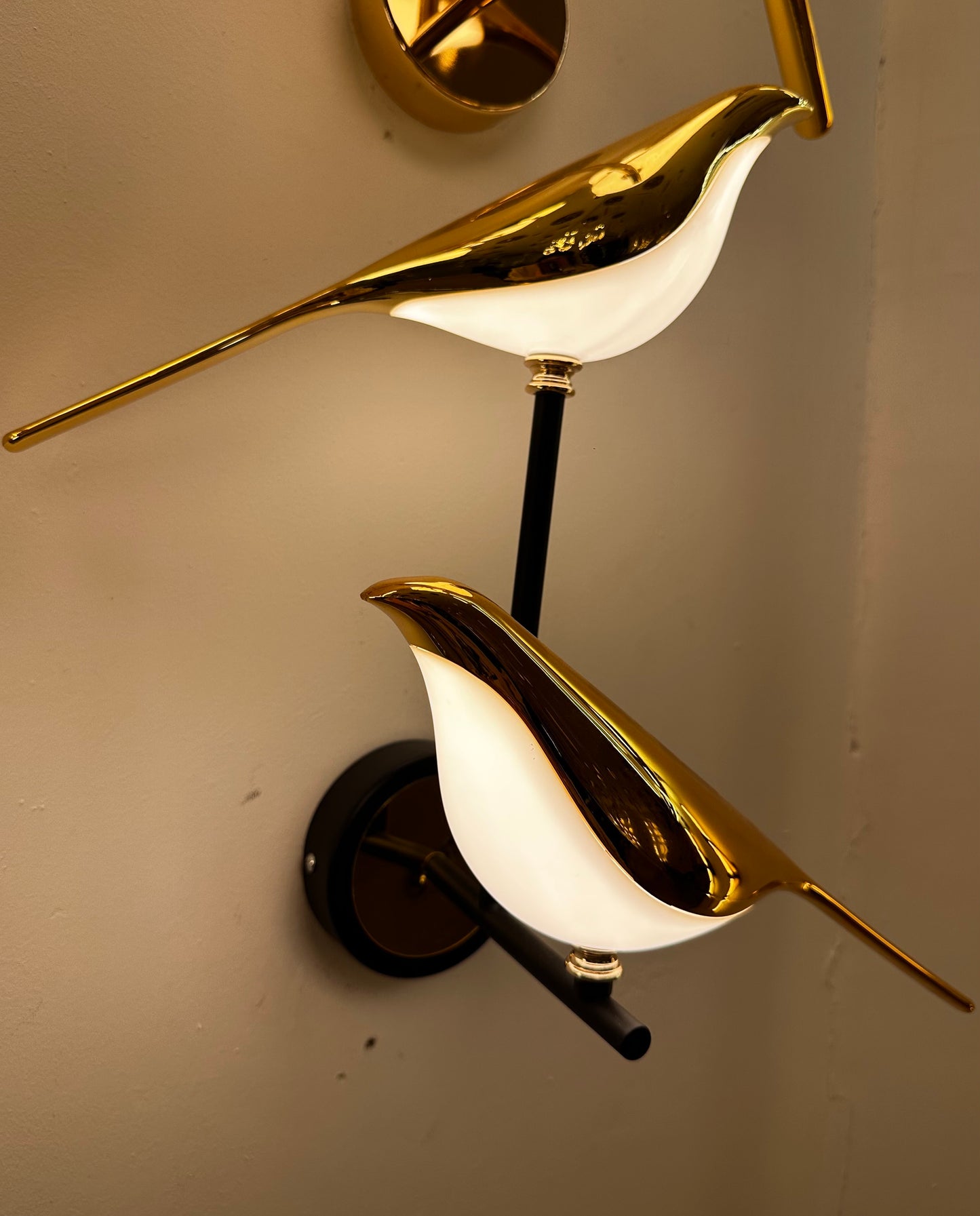 Bird Scape Dual