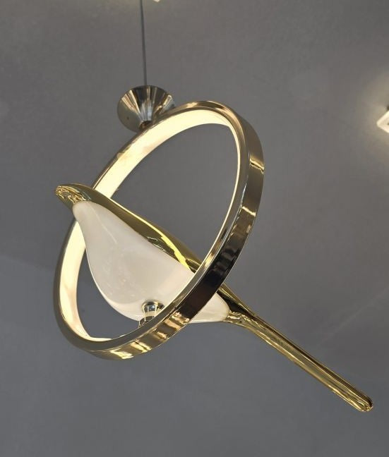 Bird Halo