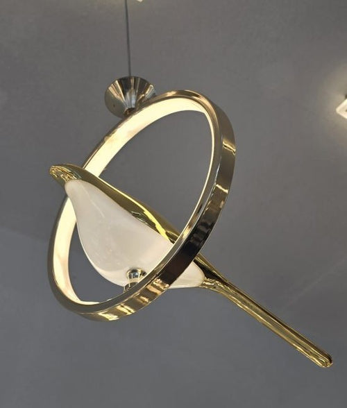 Bird Halo