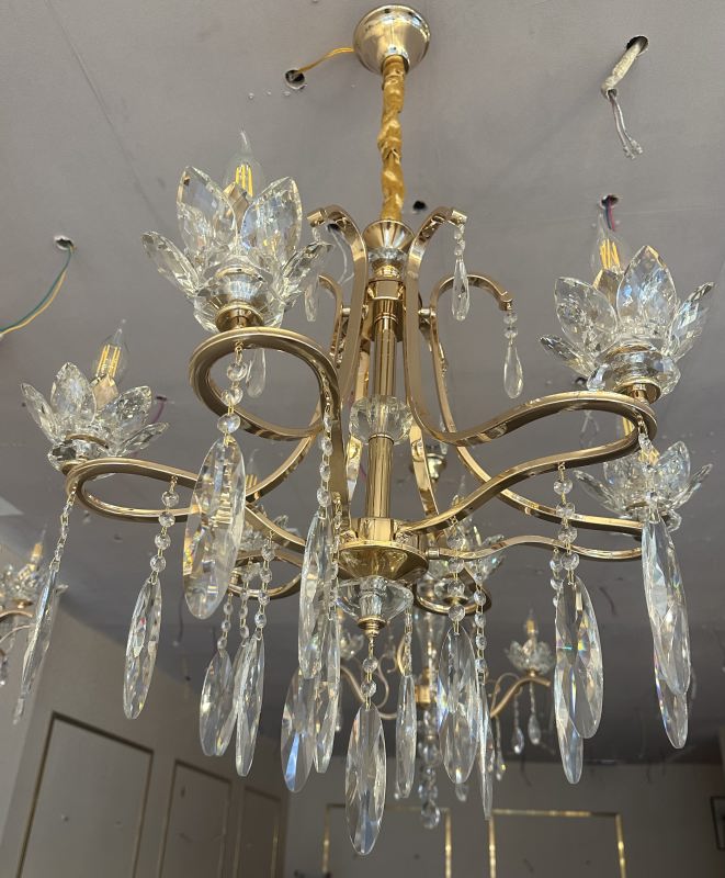 SplendorIized Curves