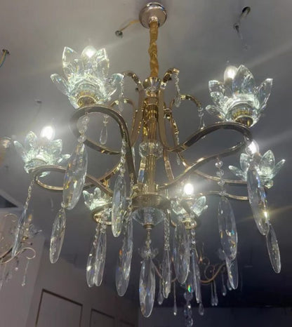 SplendorIized Curves