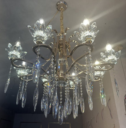 SplendorIized Curves