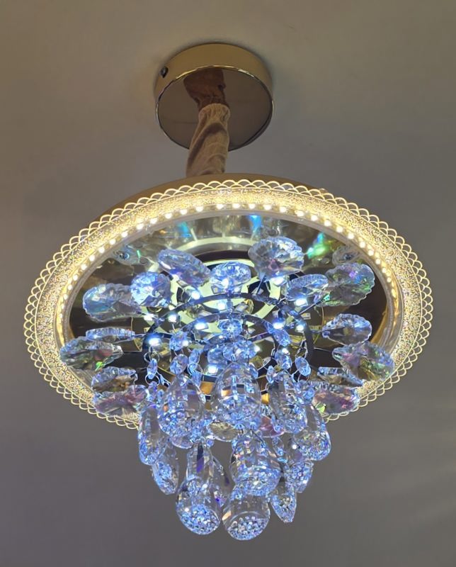 Starlit Veil